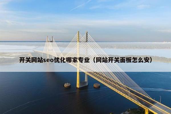 开关网站seo优化哪家专业（网站开关面板怎么安）