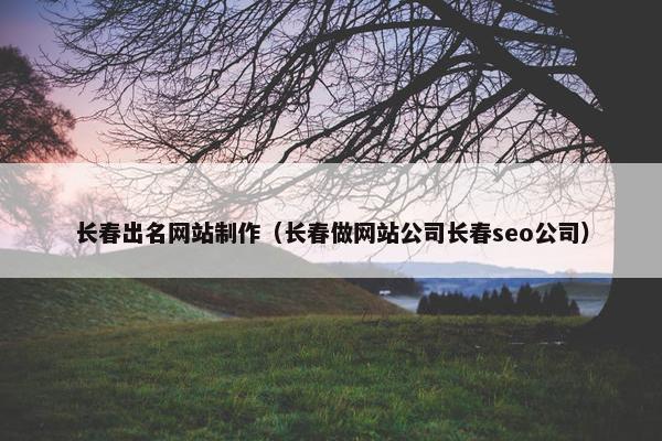 长春出名网站制作（长春做网站公司长春seo公司）