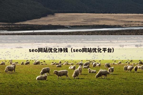 seo网站优化挣钱（seo网站优化平台）