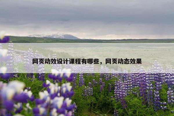 网页动效设计课程有哪些，网页动态效果