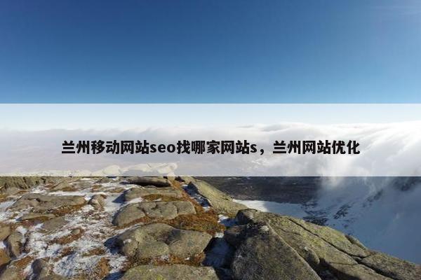 兰州移动网站seo找哪家网站s，兰州网站优化