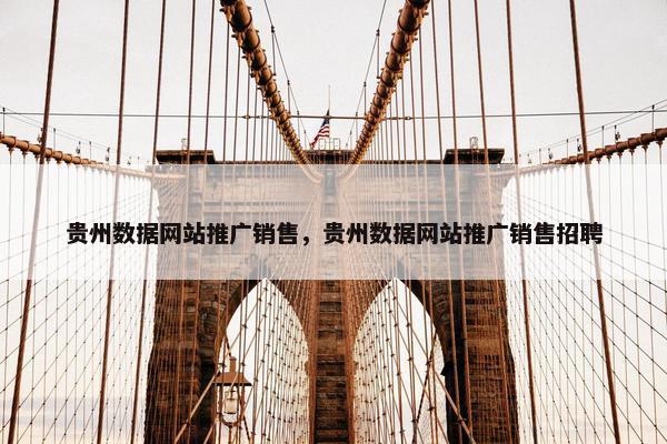 贵州数据网站推广销售，贵州数据网站推广销售招聘