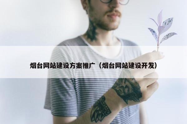 烟台网站建设方案推广（烟台网站建设开发）