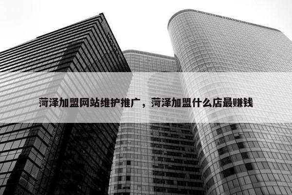 菏泽加盟网站维护推广，菏泽加盟什么店最赚钱