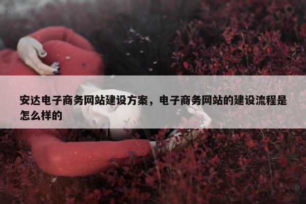 安达电子商务网站建设方案，电子商务网站的建设流程是怎么样的