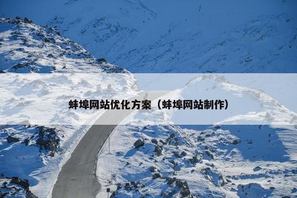 蚌埠网站优化方案（蚌埠网站制作）