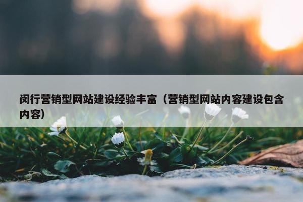 闵行营销型网站建设经验丰富（营销型网站内容建设包含内容）
