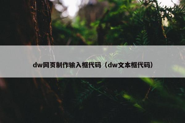 dw网页制作输入框代码（dw文本框代码）