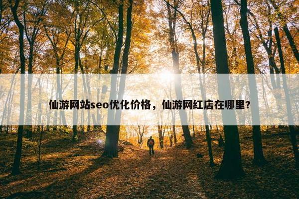 仙游网站seo优化价格，仙游网红店在哪里?