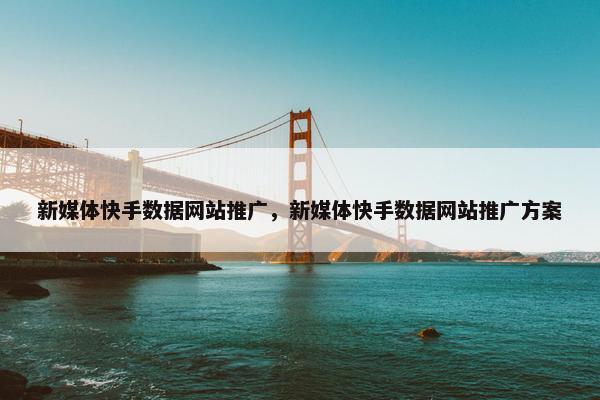 新媒体快手数据网站推广，新媒体快手数据网站推广方案