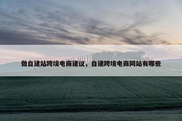 做自建站跨境电商建议，自建跨境电商网站有哪些
