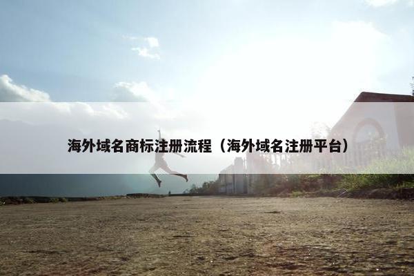 海外域名商标注册流程（海外域名注册平台）