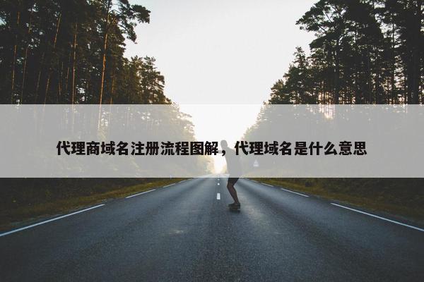代理商域名注册流程图解，代理域名是什么意思