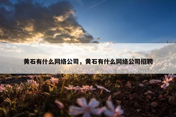 黄石有什么网络公司，黄石有什么网络公司招聘