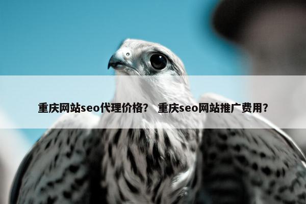 重庆网站seo代理价格？ 重庆seo网站推广费用？