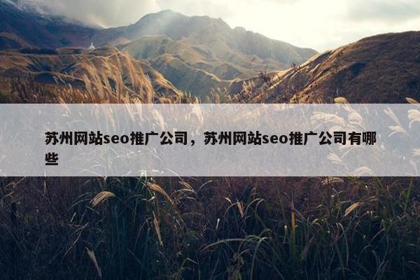 苏州网站seo推广公司，苏州网站seo推广公司有哪些