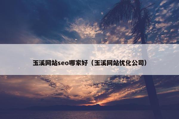 玉溪网站seo哪家好（玉溪网站优化公司）