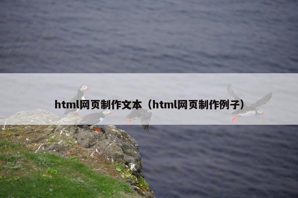 html网页制作文本（html网页制作例子）