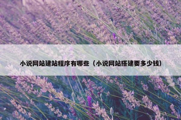 小说网站建站程序有哪些（小说网站搭建要多少钱）