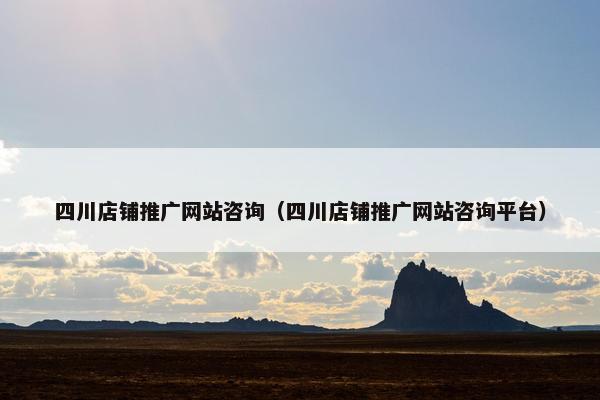 四川店铺推广网站咨询（四川店铺推广网站咨询平台）