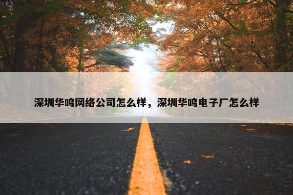 深圳华鸣网络公司怎么样，深圳华鸣电子厂怎么样