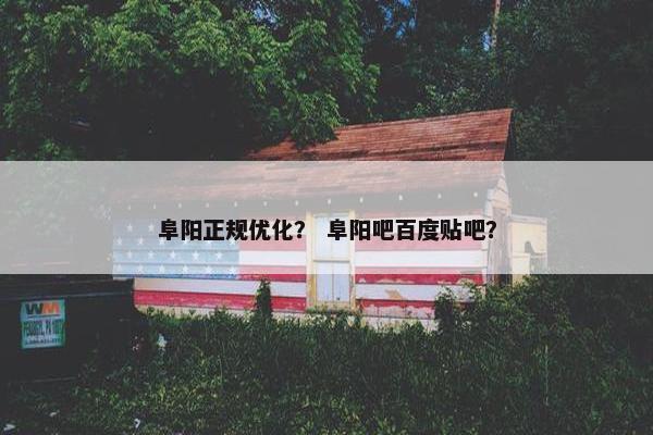 阜阳正规优化？ 阜阳吧百度贴吧？