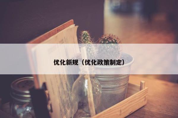 优化新规（优化政策制定）