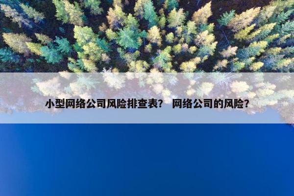 小型网络公司风险排查表？ 网络公司的风险？