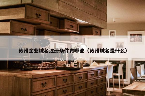 苏州企业域名注册条件有哪些（苏州域名是什么）