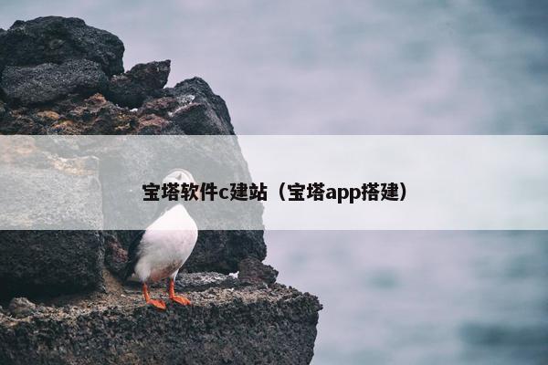 宝塔软件c建站（宝塔app搭建）