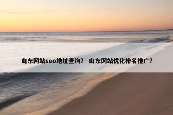 山东网站seo地址查询？ 山东网站优化排名推广？