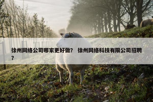 徐州网络公司哪家更好做？ 徐州网络科技有限公司招聘？