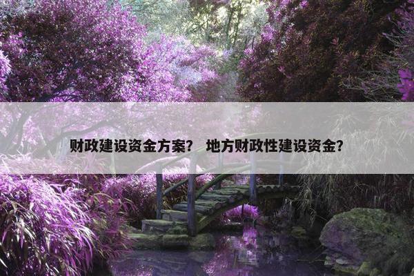 财政建设资金方案？ 地方财政性建设资金？
