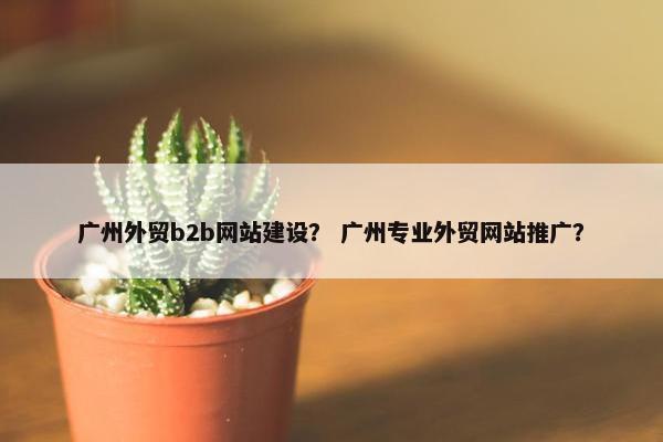 广州外贸b2b网站建设？ 广州专业外贸网站推广？