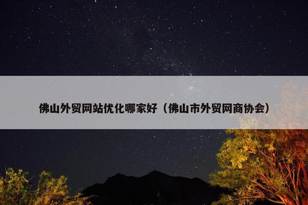 佛山外贸网站优化哪家好（佛山市外贸网商协会）