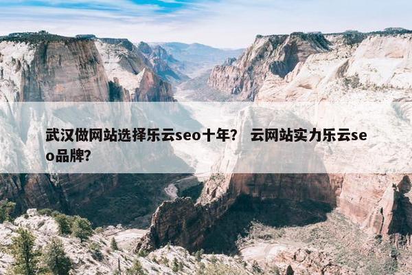 武汉做网站选择乐云seo十年？ 云网站实力乐云seo品牌？