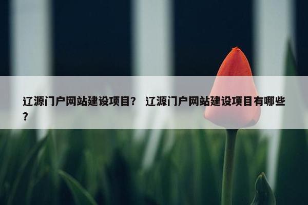 辽源门户网站建设项目？ 辽源门户网站建设项目有哪些？