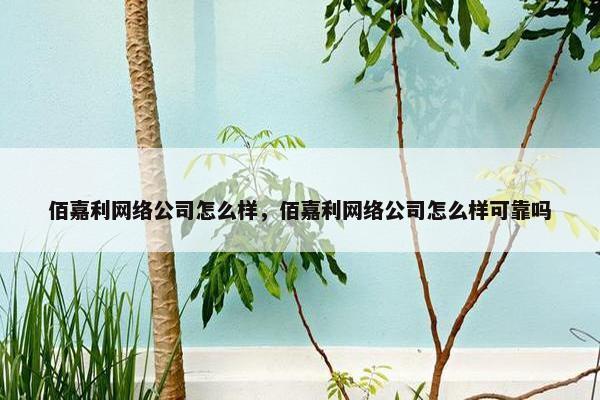 佰嘉利网络公司怎么样，佰嘉利网络公司怎么样可靠吗