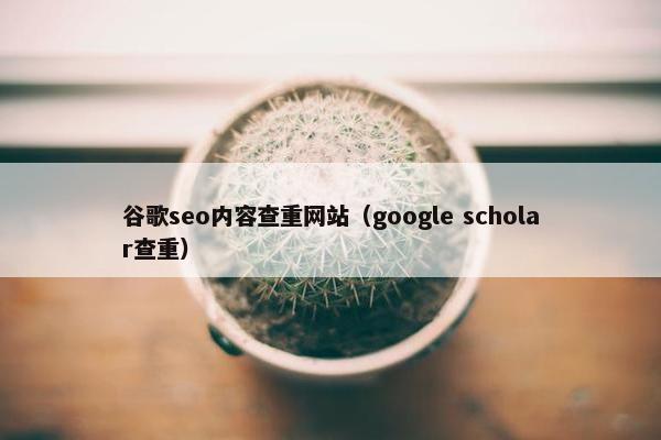 谷歌seo内容查重网站（google scholar查重）