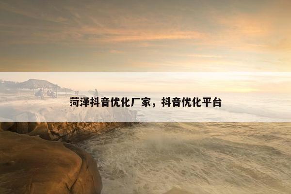 菏泽抖音优化厂家，抖音优化平台