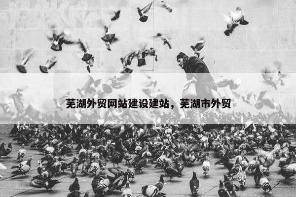 芜湖外贸网站建设建站，芜湖市外贸