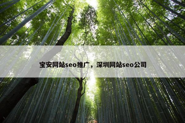 宝安网站seo推广，深圳网站seo公司