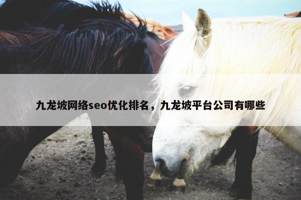 九龙坡网络seo优化排名，九龙坡平台公司有哪些