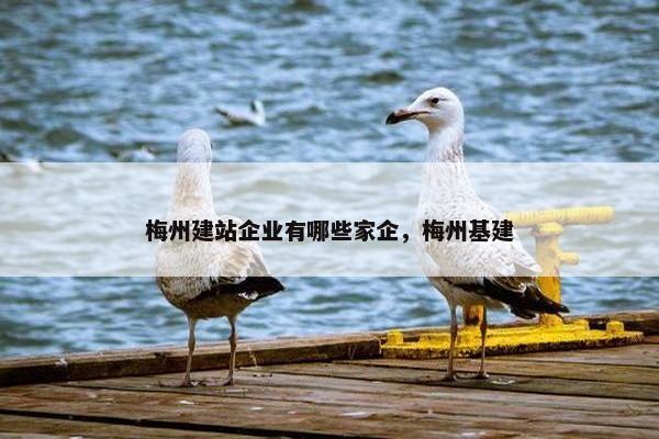 梅州建站企业有哪些家企，梅州基建