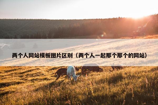 两个人网站模板图片区别（两个人一起那个那个的网站）