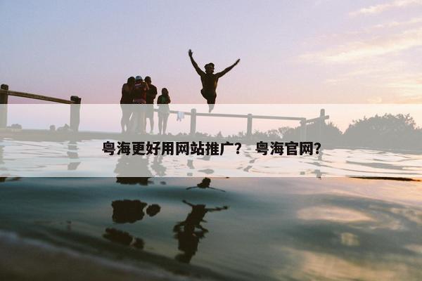 粤海更好用网站推广？ 粤海官网？