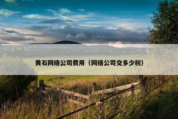 黄石网络公司费用（网络公司交多少税）