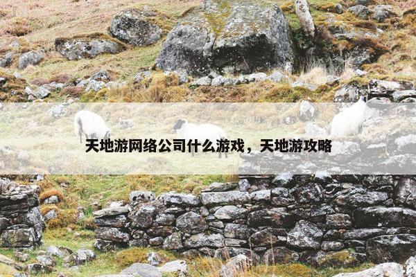 天地游网络公司什么游戏，天地游攻略