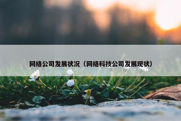网络公司发展状况（网络科技公司发展现状）