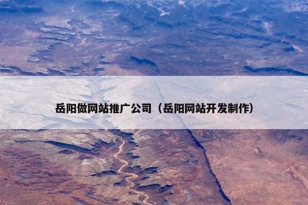 岳阳做网站推广公司（岳阳网站开发制作）